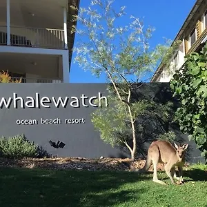 https://whale-watch-ocean-beach-resort.queenslandhotels.net